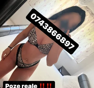 Discover the Allure of Greek Escorts in Solihull