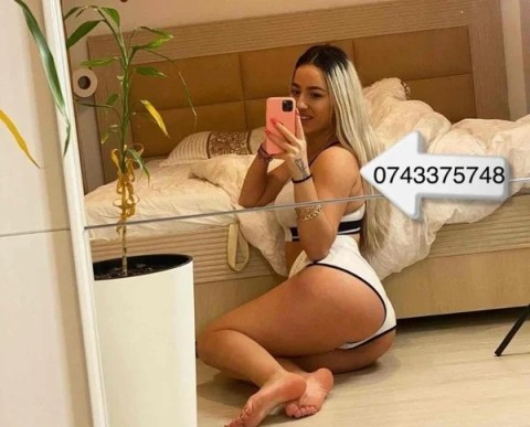 Discover the Comfort of bbw escorts in Leicester