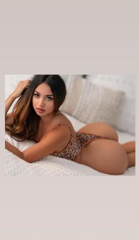 Discover the Essence of Belfast City with Noua!