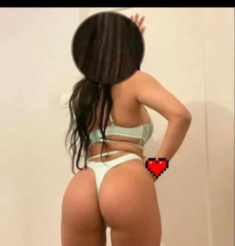 Exclusive Cambridge Companions Await You in Leicester