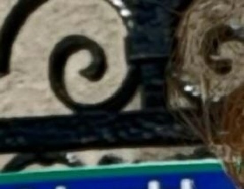 Experience the Allure of Solihull with a Touch of Belfast City Elegance