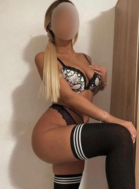 Explore the allure of transsexual escorts in Leicester