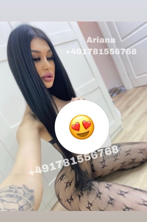 Explore the World of Edinburgh Adult Service in Wolverhampton
