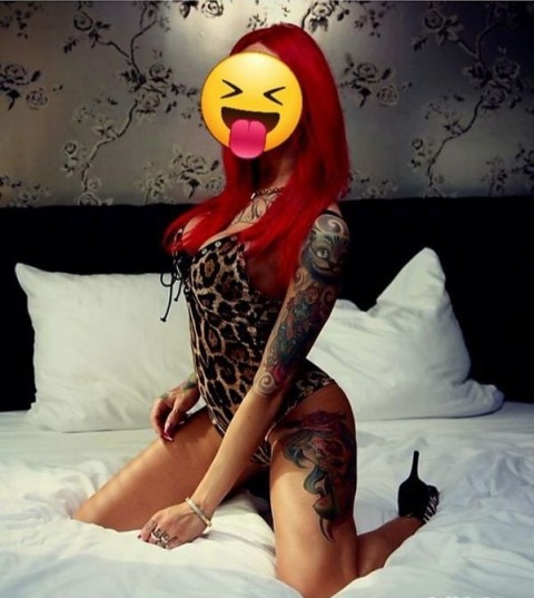 M6 Escorts: Experience the Charm of Walsall with Maia
