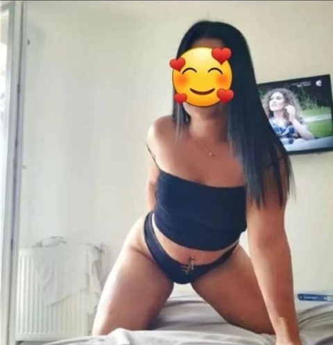 Your Cambridge Companions Await in Sutton Coldfield